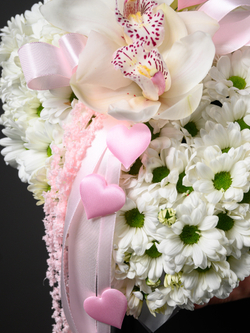 Моя Нежность