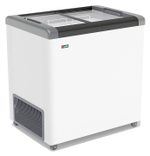 Ларь морозильный Frostor GELLAR FG 250 C серый (R290)