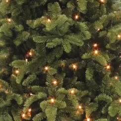 Ель Нормандия стройная с фонариками 215 см., литая хвоя+пвх, 248 LED ламп, Triumph Tree (73789)