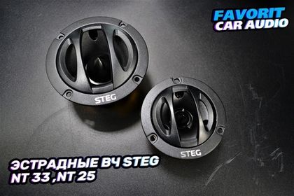 В наличии шикарные ВЧ рупорного типа от бреда "STEG Italy"