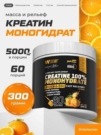 Креатин моногидрат с апельсином в форме порошка 300 г