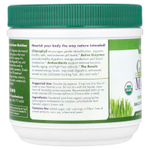 Green Foods, Green Magma®, порошок сока из травы ячменя, 150 г (5,3 унции)