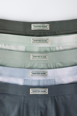 ZARA НАБОР ИЗ ПЯТИ ТРУСОВ-БОКСЕРОВ С ЭТИКЕТКОЙ, РАЗНОЦВЕТНЫЙ