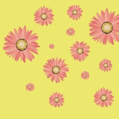 цветы кораллового цвета