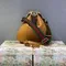 Большая сумка через плечо Gucci Attache коричневый