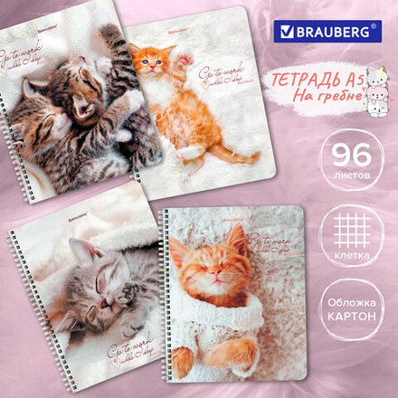 Тетрадь А5, 96 л., BRAUBERG, гребень, клетка, обложка картон, "Котики", 404425, 4шт