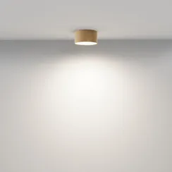 Потолочный светильник Зон / Zon 12 Вт 4000 К 120° Technical c032cl-12w4k-rd-mg