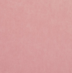 Микровелюр Бэст 27