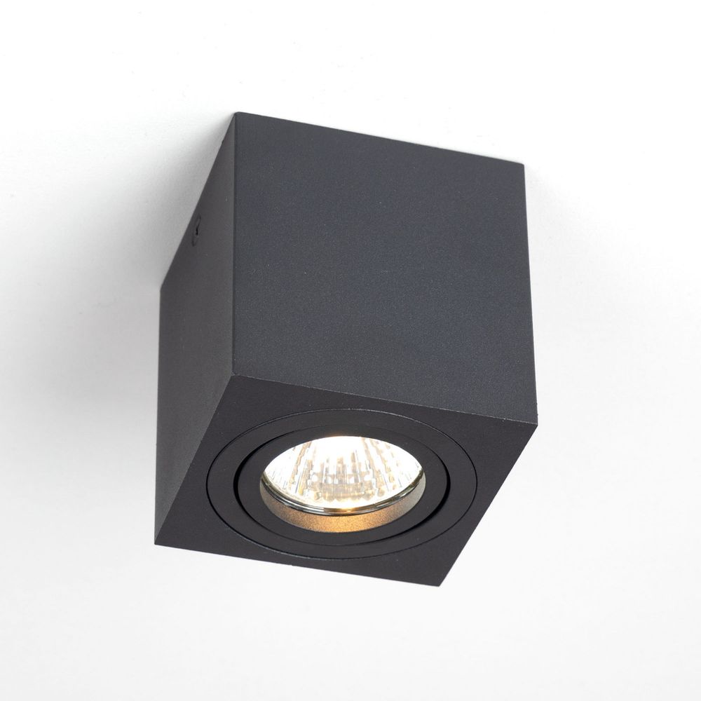 Citilux Дюрен CL538213 Светильник накладной поворотный Чёрный