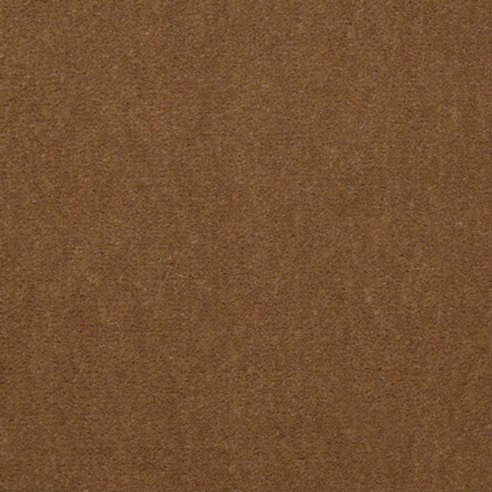 Ковровое покрытие Shaw Floors Emphatic II 30 56250 CAJUN