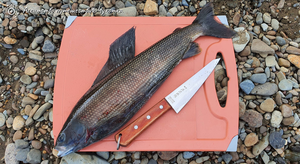 Озеро Красное - трофейная рыбалка в центральной Чукотке