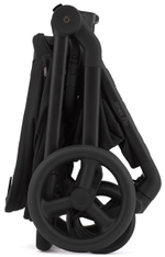 Детская коляска Anex Flo 2 в 1 Lungo