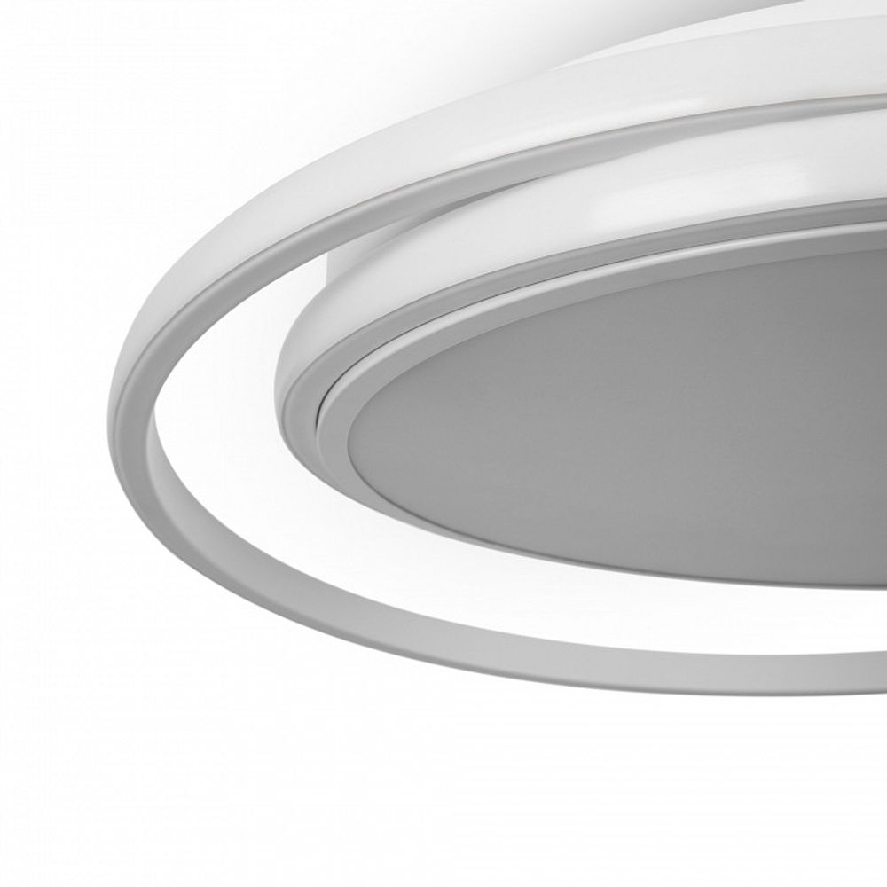 Накладной светильник Freya  FR10032CL-L98W