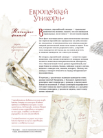 Великая книга Единорогов