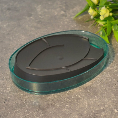 Мыльница "Boho", мята/полупрозрачный