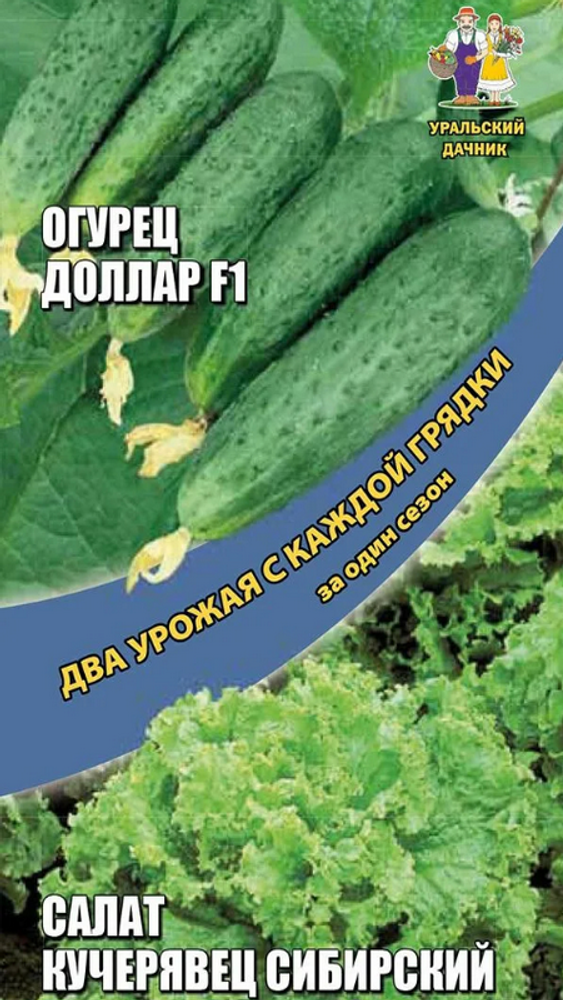 ДВА УРОЖАЯ!!! &quot;G. Доллар F1 8шт + Салат Кучерявец Сибирский 0,25г&quot;, Россия.