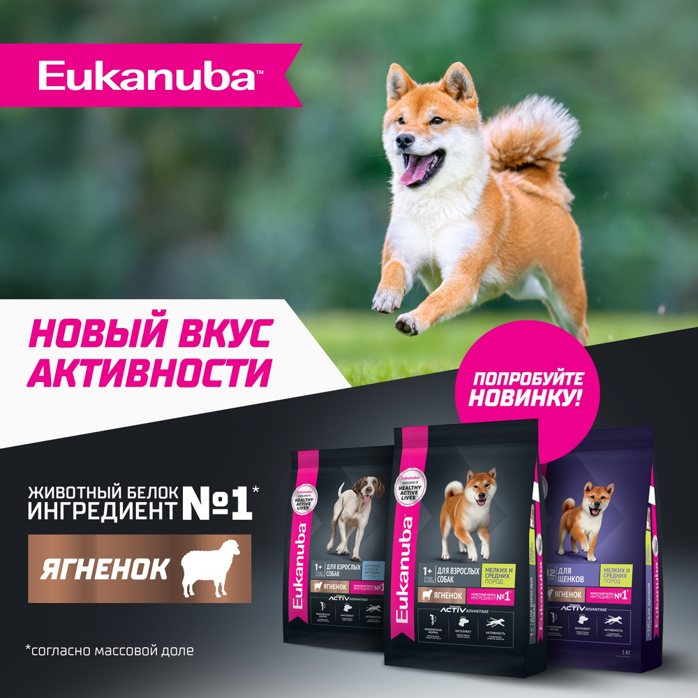 Сухой корм Eukanuba для взрослых собак мелких и средних пород старше 1 года с ягненком 800г
