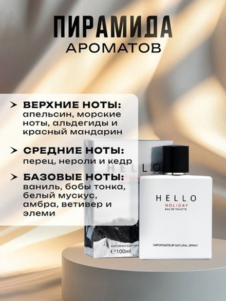 Туалетная вода мужская Hello Holiday, 105 мл