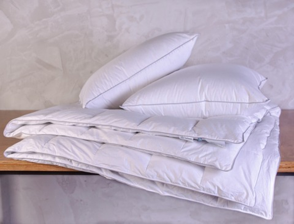 Набор одеяла 200х200 и подушки 68x68 из гусиного пуха German Grass Gray Familie Down