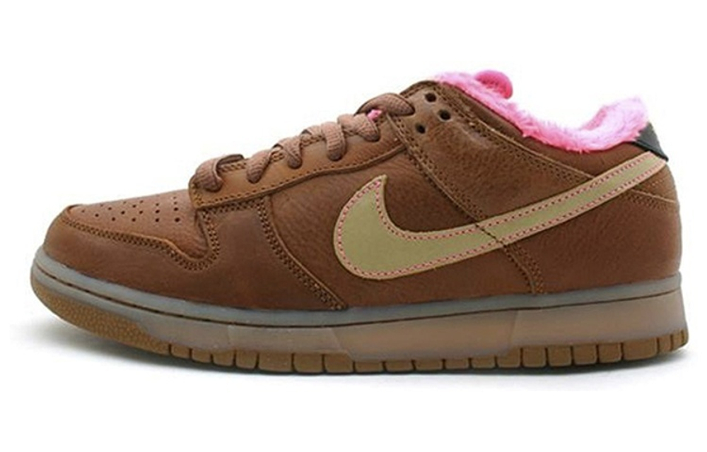 Nike Dunk Sb Gibson Guitar Case