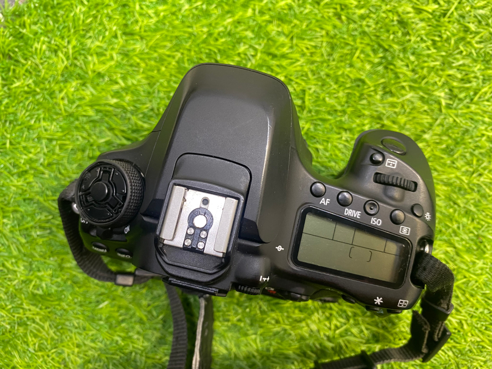 Canon 80D (44.000 кадров)