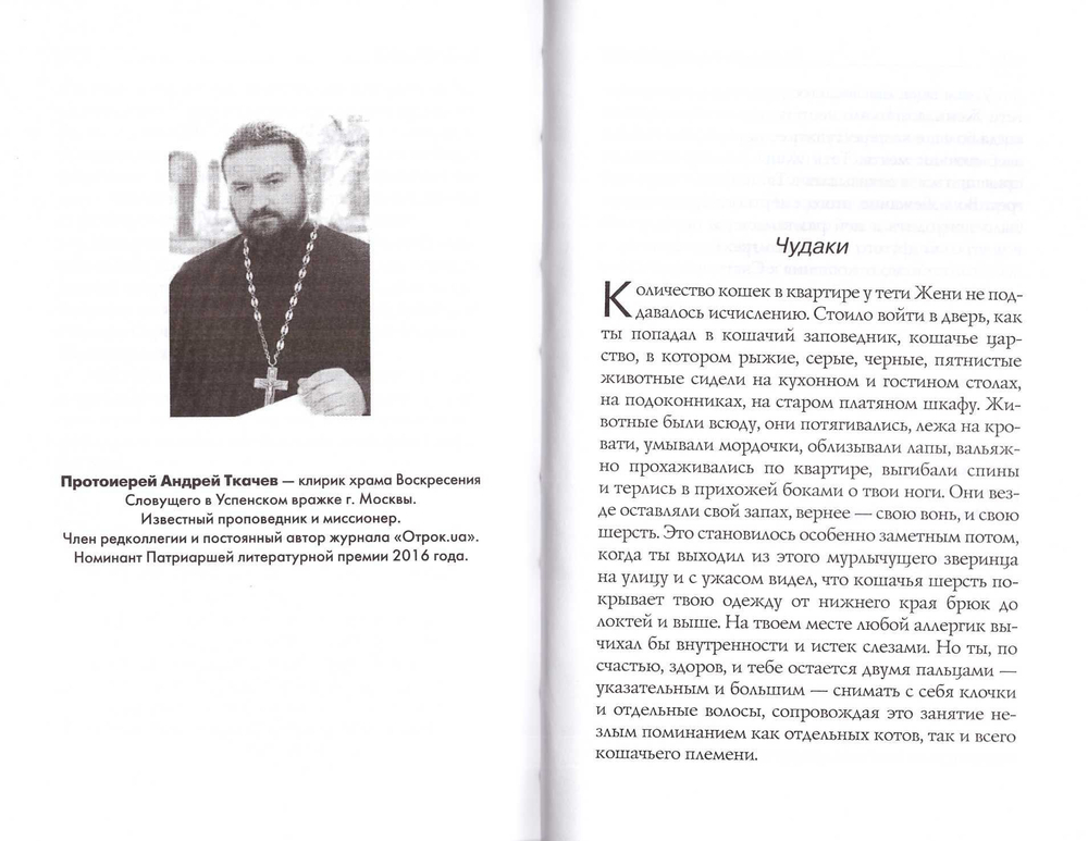 Дорога к Небу. Поэзия и проза лауреатов и номинантов Патриаршей литературной премии 2015—2016 гг.