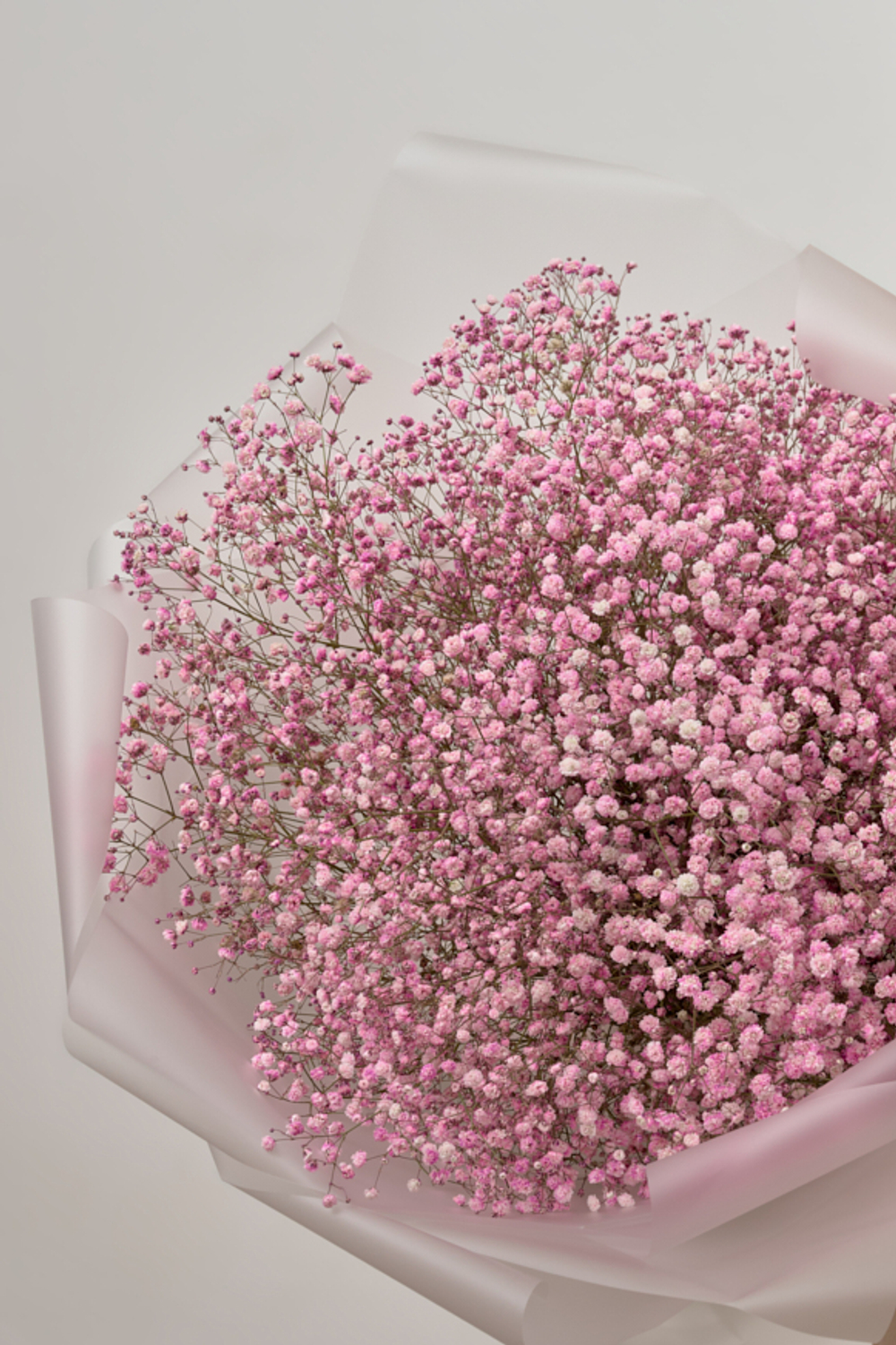 Розовое воздушное облако из гипсофилы .
