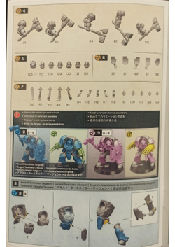 Terminator Assault Squad (New)