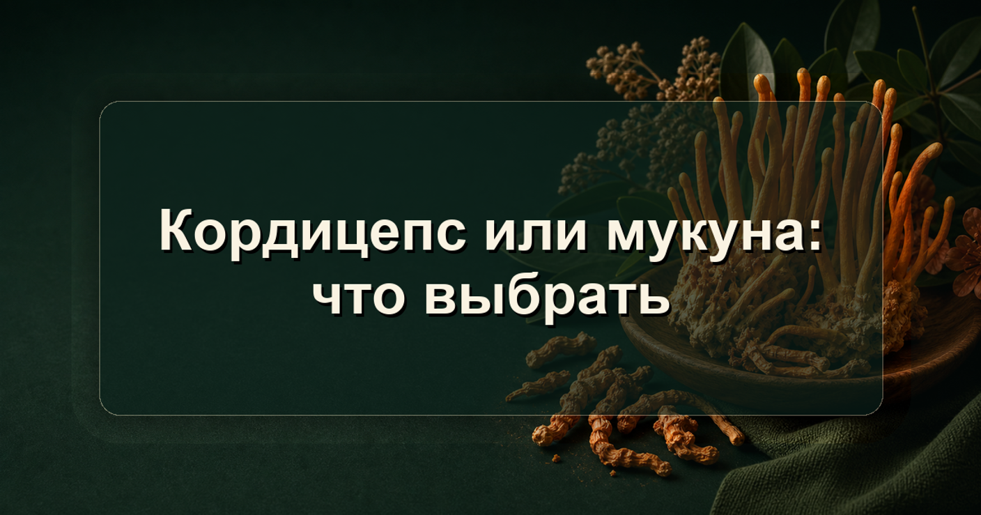 Кордицепс или мукуна: что выбрать