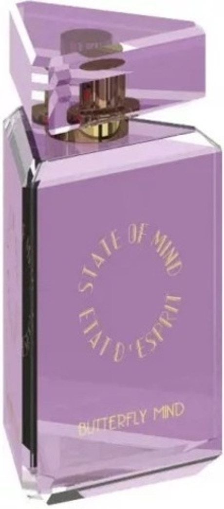 State Of Mind Butterfly Mind