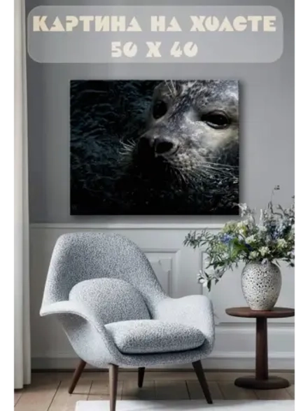 Картина на стену 40 X 50 Тюлень