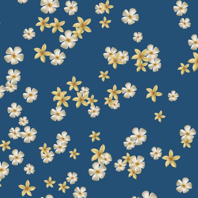 Плюмерия на синем фоне