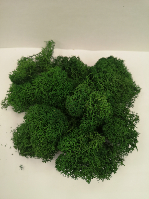 Мох для изготовления кустов и деревьев (зеленая трава)