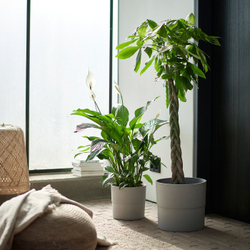 IKEA NYPON  (ИКЕА НЙПОН)  -  Крышка для цветочного горшка, серая, 32 см