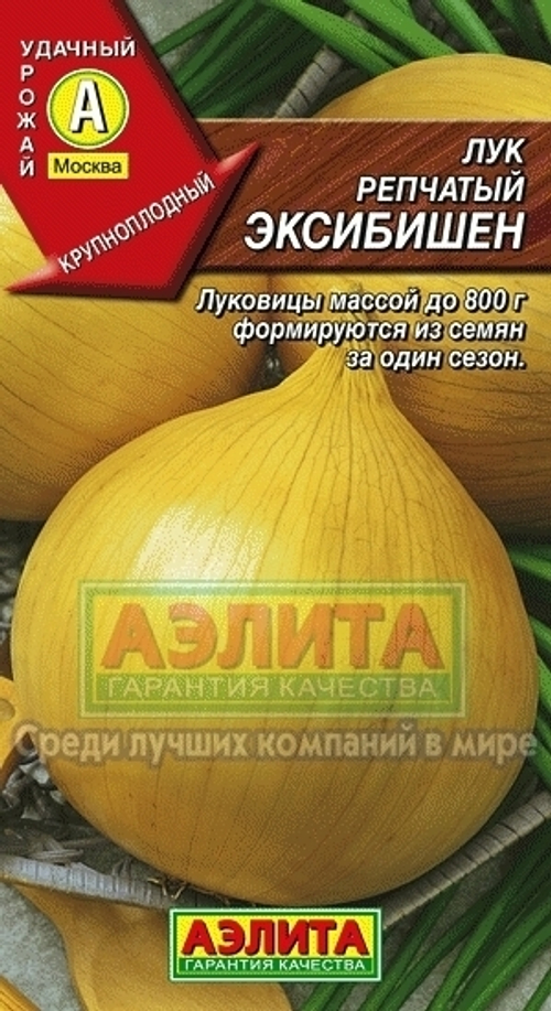 Лук Эксибишен