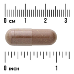 Swanson Vitamins, Bilberry Eyebright Vision Complex, 100 капсул