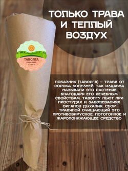 Мята длиннолистная пучок, 2 шт.