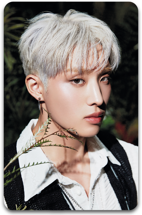 Карта #0388 / KEEHO (P1Harmony)