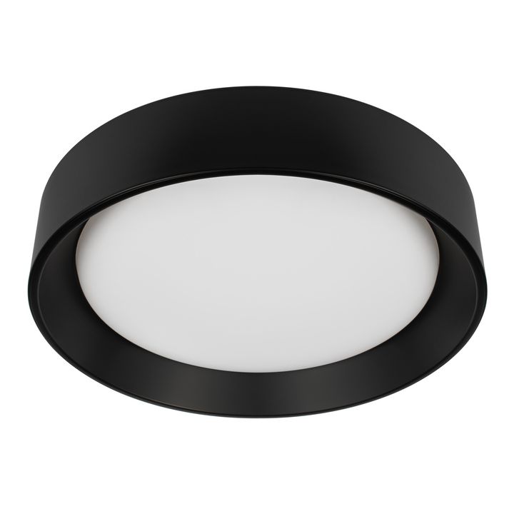 Потолочный светильник Loft it Coin 10202 BB