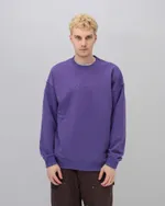 Толстовка Anteater Crewneck Streetwear Violet