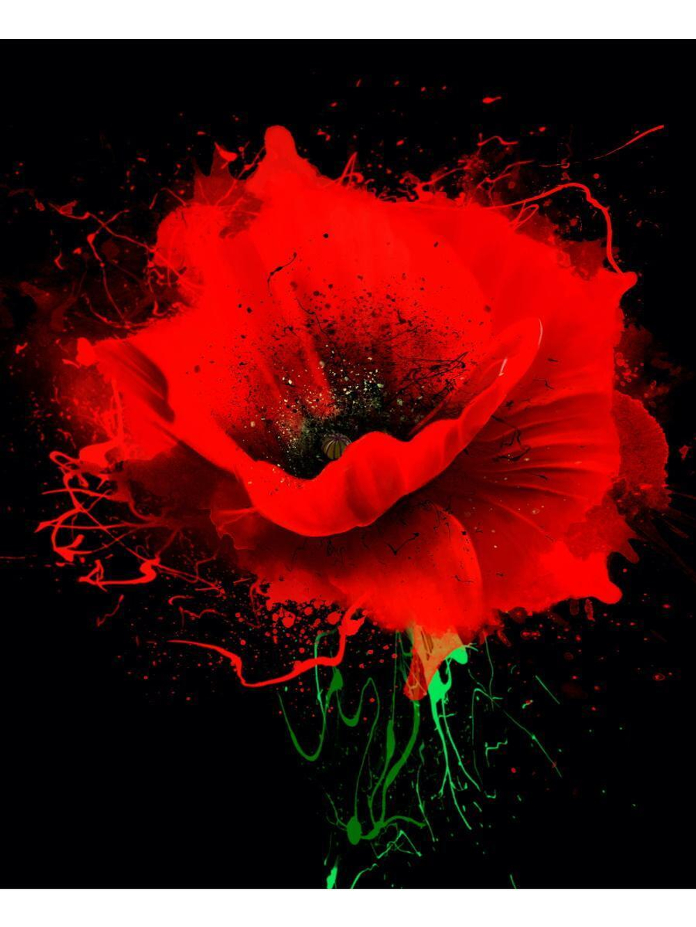 Картина по номерам 30х40см. "Алый мак" (арт. Х-7103)