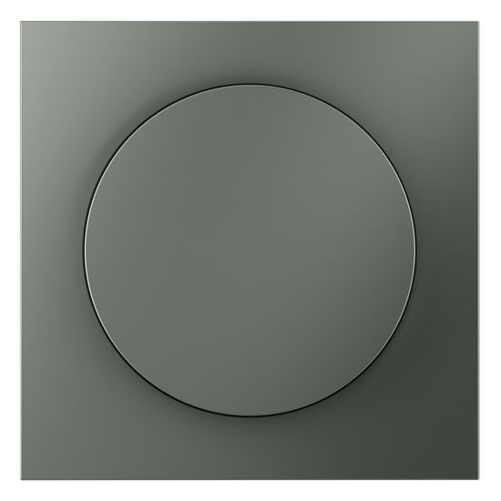 Накладка для светорегулятора поворотно-нажимного, S70 (титан)