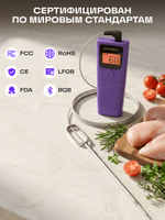 Кулинарный термометр для мяса Ermenrich BBQ GT20