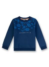 Толстовка Sanetta KIDSWEAR 125483 50178