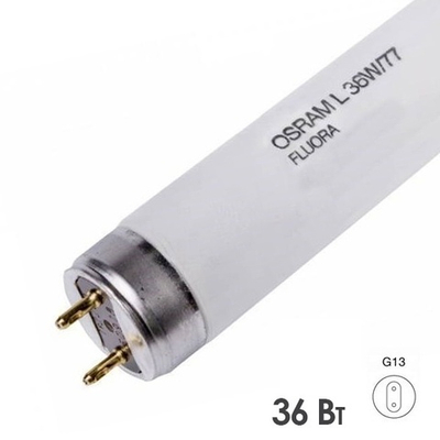 Люминесцентная линейная лампа T8 L 36W/77 FLUORA G13 для растений 1200mm Osram 4050300003184 4058075402805