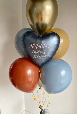 Воздушные шары на выписку из роддома №1107