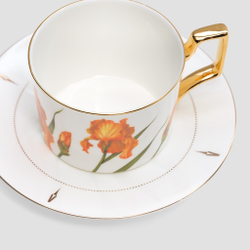 Чайная пара Farforite «Ирисы / Botanicum» 250 мл в подарочной коробке