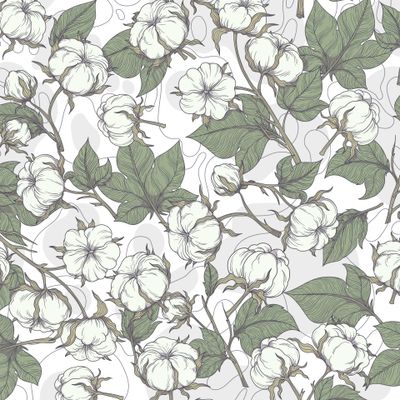 Цветной хлопок