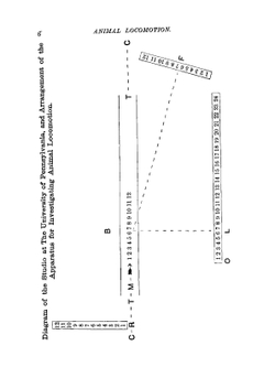 Animal locomotion. An electro-photographic investigation of consecutive phases of animal movements | Eadweard Muybridge