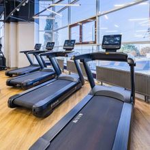 Профессиональная беговая дорожка SHUA SH-T8919T (15,6&quot; экран)